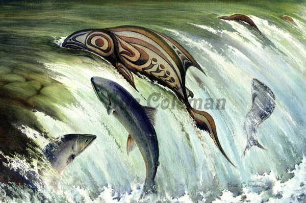 Salmon Run