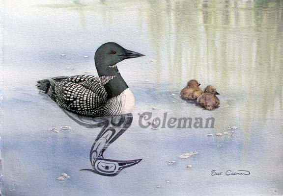Loon & Chicks
