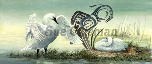 Trumpeter Swan