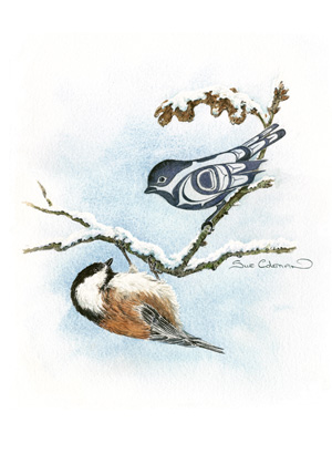 Chickadee