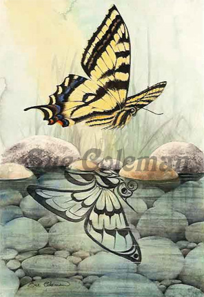 Butterfly Reflection