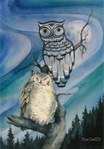 Night Owl