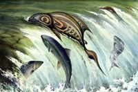 Salmon Run