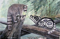 Raccoons