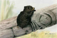 Bear Cub & Pole