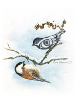 Chickadee