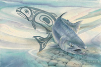Salmon Stream
