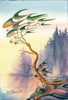 Old Arbutus