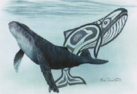 Humpback