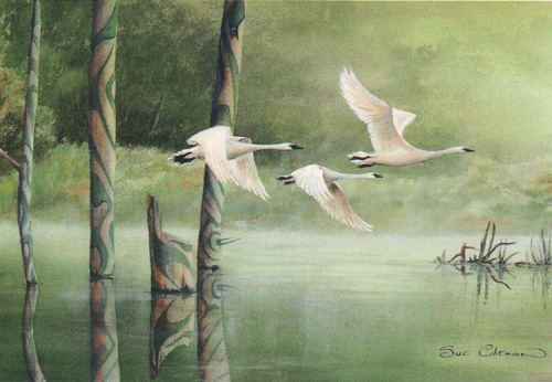 Signature of the swans