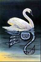 Swan