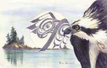 Osprey