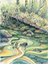 Tidal Pool