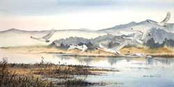 Flying Swans