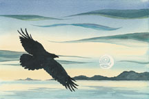 Night Flight
