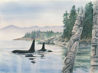 Whale Watchers
